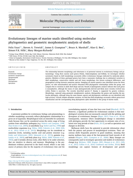 Evolutionary Lineages of Marine Snails Identified Using Molecular