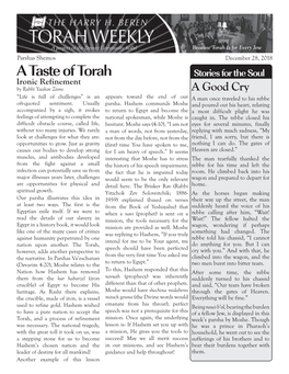 A Taste of Torah