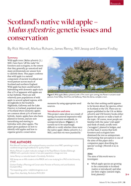 Malus Sylvestris: Genetic Issues and Conservation