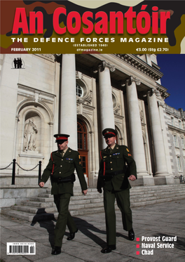 Military Policemen and Women Are Part of a Joint Garda/Defence Info@Military.Ie Oforces Team Who Guard Both Leinster House and Government Buildings