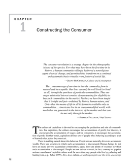 Constructing the Consumer