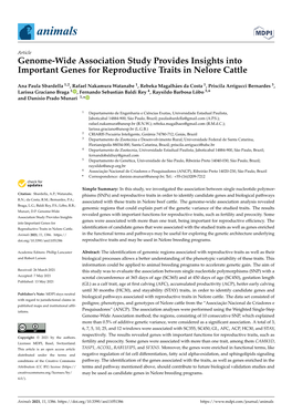 Genome-Wide Association Study Provides Insights Into Important Genes for Reproductive Traits in Nelore Cattle