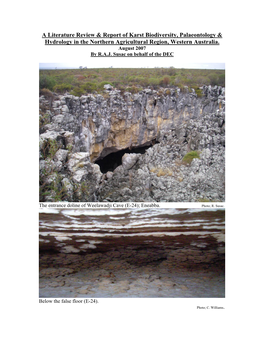 A Literature Review & Report of Karst Biodiversity, Palaeontology