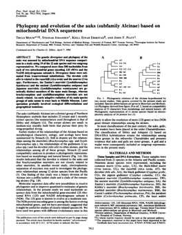 Phylogeny and Evolution of the Auks (Subfamily Alcinae) Based on Mitochondrial DNA Sequences TRULS MOUM*Tt§, STEINAR Johansent, KJELL EINAR ERIKSTAD¶, and JOHN F