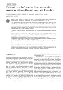 The Fossil Record of Camelids Demonstrates a Late Divergence Between Bactrian Camel and Dromedary