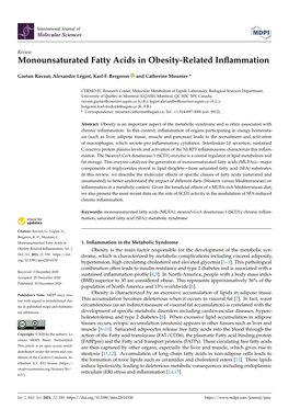 Monounsaturated Fatty Acids in Obesity-Related Inflammation