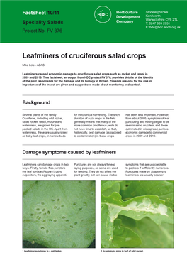 Leafminers of Cruciferous Salad Crops