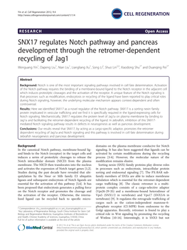 SNX17 Regulates Notch Pathway and Pancreas