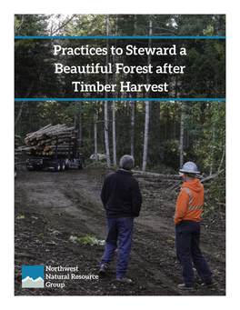 Practices to Steward a Beautiful Forest After Timber Harvest