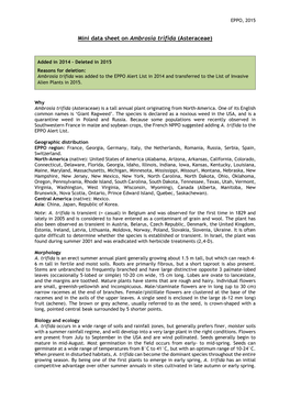 Mini Data Sheet on Ambrosia Trifida (Asteraceae)