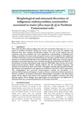 Morphological and Structural Diversities of Indigenous Endomycorrhiza Communities Associated to Maize [Zea Mays (L.)] in Norther