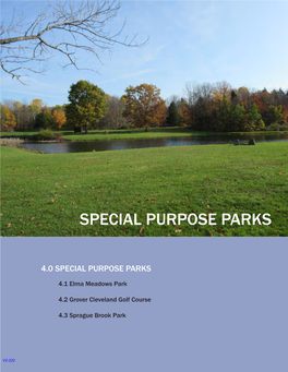 Special Purpose Parks