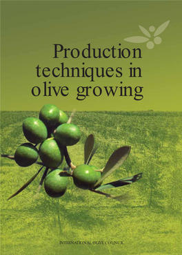 Production Techniques in Olive Growing