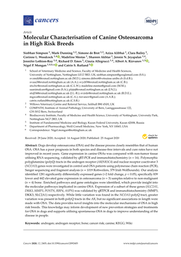 Molecular Characterisation of Canine Osteosarcoma in High Risk Breeds