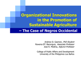 The Case of Negros Occidental