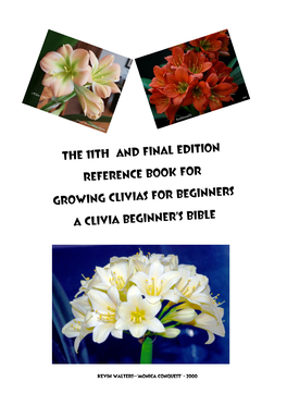 How to Water Clivia Plants?