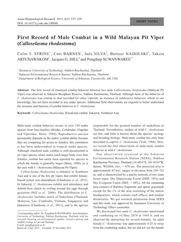 First Record of Male Combat in a Wild Malayan Pit Viper (Calloselasma Rhodostoma)