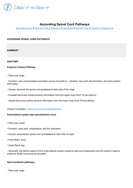 Ascending Spinal Cord Pathways Neuroanatomy > Spinal Cord & Sensory Projections > Spinal Cord & Sensory Projections