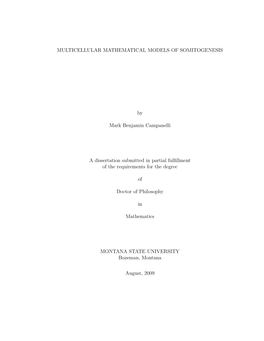 Multicellular Mathematical Models of Somitogenesis