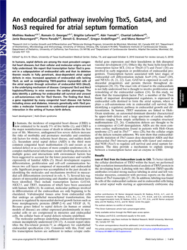 An Endocardial Pathway Involving Tbx5, Gata4, and Nos3 Required for Atrial Septum Formation