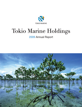 Tokio Marine Holdings, Inc