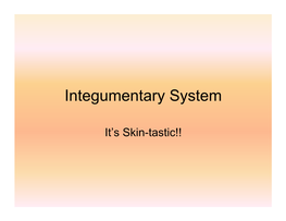 Integumentary System