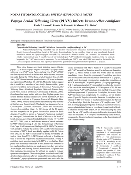 Papaya Lethal Yellowing Virus (PLYV) Infects Vasconcellea Cauliflora Paulo P