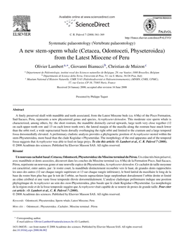 A New Stem-Sperm Whale (Cetacea, Odontoceti, Physeteroidea) from The