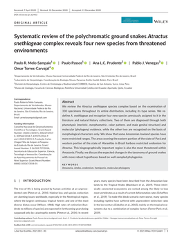 Systematic Review of the Polychromatic Ground Snakes Atractus Snethlageae Complex Reveals Four New Species from Threatened Environments