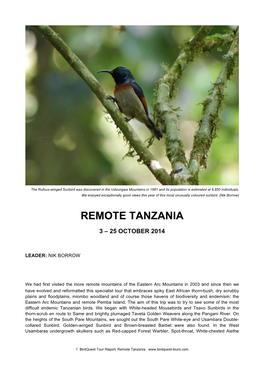 Remote Tanzania
