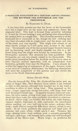 A Parallel Evolution in a Certain Larval Charac Ter Between the Syntomid^E and the Pericopid^E