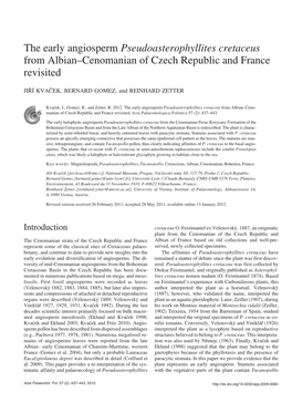 The Early Angiosperm Pseudoasterophyllites Cretaceus from Albian–Cenomanian of Czech Republic and France Revisited