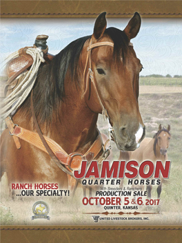 Jamison17.Pdf