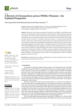 A Review of Chenopodium Quinoa (Willd.) Diseases—An Updated Perspective