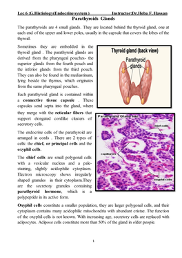 Parathyroids Glands the Parathyroids Are 4 Small Glands