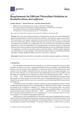 Requirements for Efficient Thiosulfate Oxidation in Bradyrhizobium