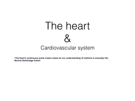 Cardiovascular System