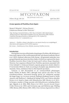 A New Species of <I>Pisolithus</I> from Spain