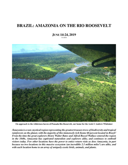 Brazil: Amazonia on the Rio Roosevelt