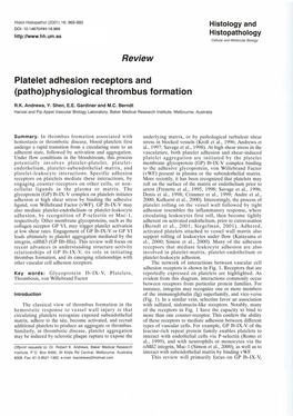 Review Platelet Adhesion Receptors and {Patho)Physiological Thrombus