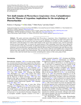 New Skull Remains of Phorusrhacos Longissimus (Aves, Cariamiformes) from the Miocene of Argentina: Implications for the Morphology of Phorusrhacidae