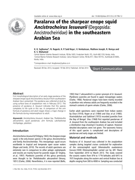 Paralarva of the Sharpear Enope Squid Ancistrocheirus Lesueurii (Oegopsida: Ancistrocheiridae) in the Southeastern Arabian Sea