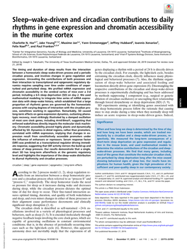 Sleep–Wake-Driven and Circadian Contributions to Daily Rhythms in Gene Expression and Chromatin Accessibility in the Murine Cortex