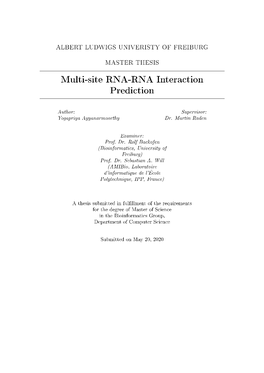 Multi-Site RNA-RNA Interaction Prediction