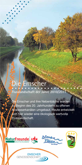 Die Emscher Flusslandschaft Der Jahre 2010/2011