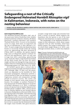 Safeguarding a Nest of the Critically Endangered Helmeted Hornbill Rhinoplax Vigil in Kalimantan, Indonesia, with Notes on the Nesting Behaviour ADAM E