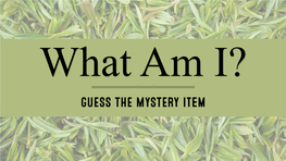 GUESS the MYSTERY Item Here Are Some Clues