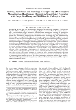 And Leafhoppers (Homoptera: Cicadellidae) Associated with Grape, Blackberry, and Wild Rose in Washington State