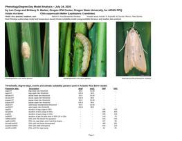 Chilo Suppressalis Walker (Lepidoptera: Crambiidae) Hosts: Rice, Grasses, Sorghum, Corn Native To: Asia (Temperate Climates) Invaded Areas Include: N