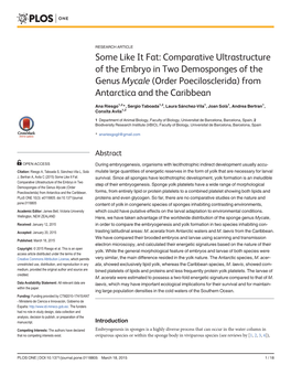 Comparative Ultrastructure of the Embryo in Two Demosponges of the Genus Mycale (Order Poecilosclerida) from Antarctica and the Caribbean